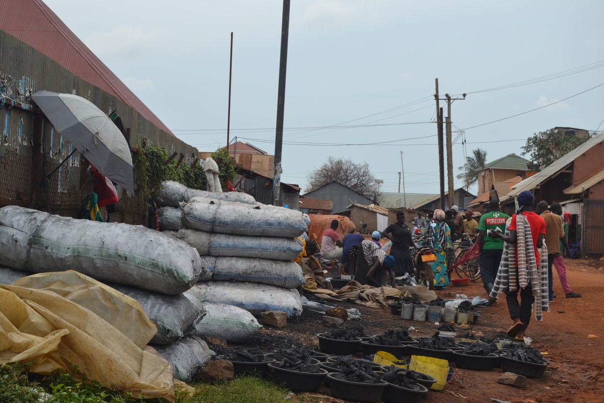 Why charcoal export bans in Uganda have failed to work